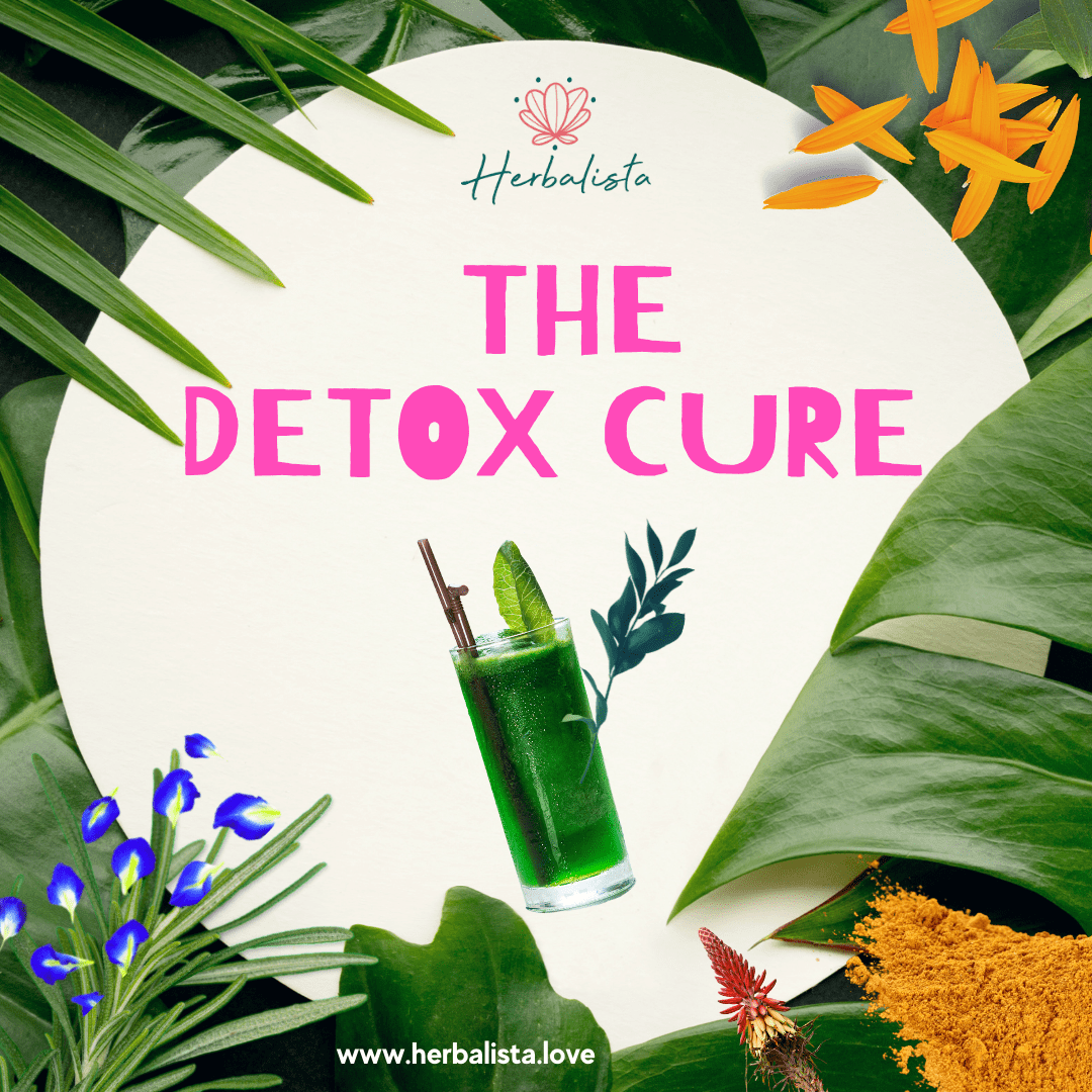 The Detox Cure one-day program
